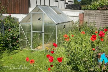 Garten im Juni 2021