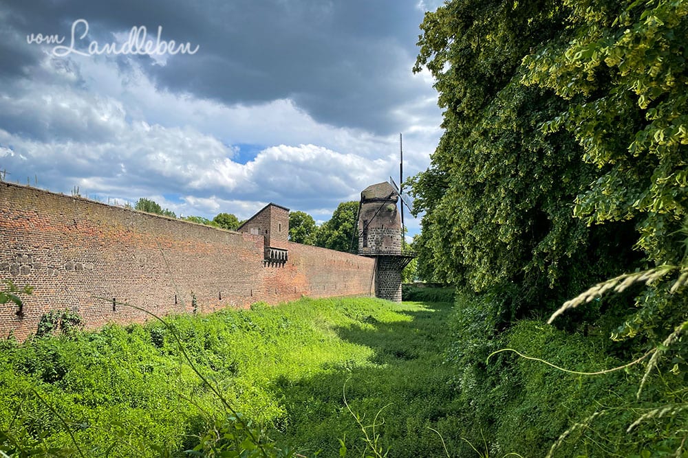 Windmühle in Zons an der Stadtmauer