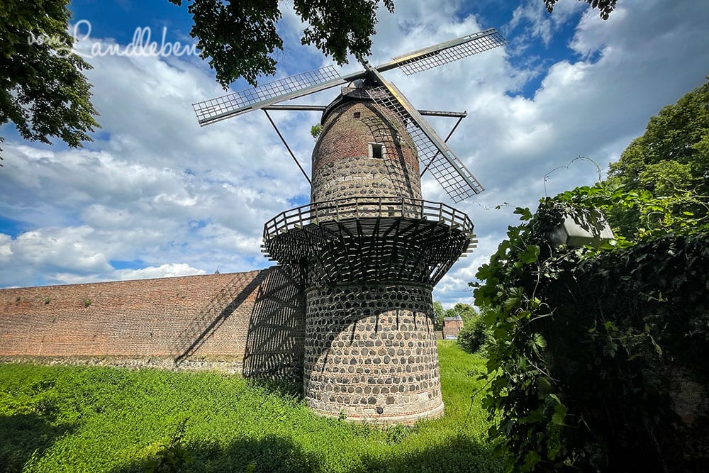 Windmühle in Zons