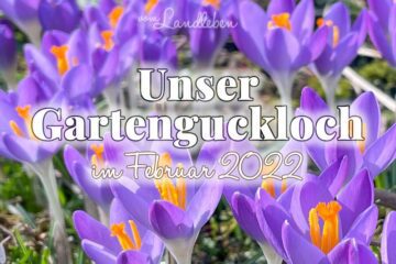 Gartenguckloch im Februar 2022