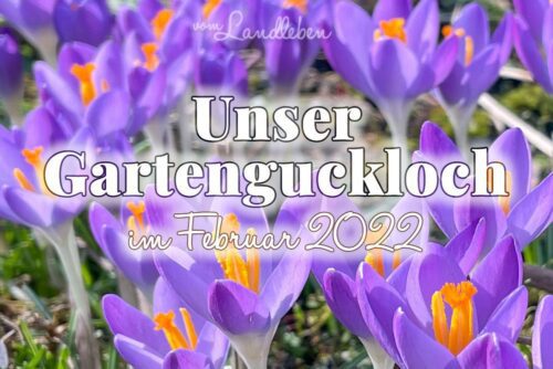 Gartenguckloch im Februar 2022
