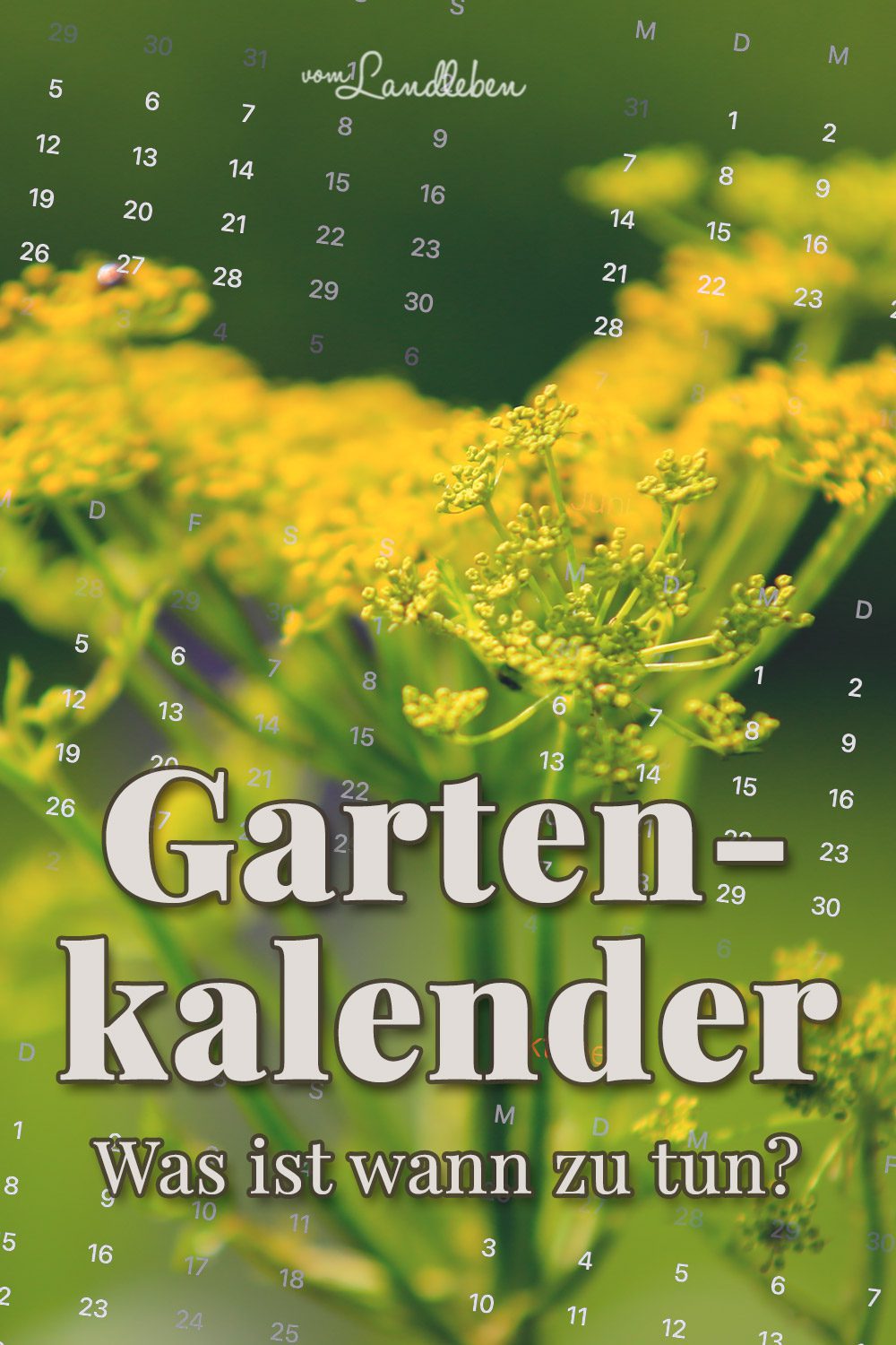 Dein Gartenkalender: Was ist wann zu tun im Garten? 