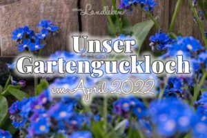 Gartenguckloch im April 2022