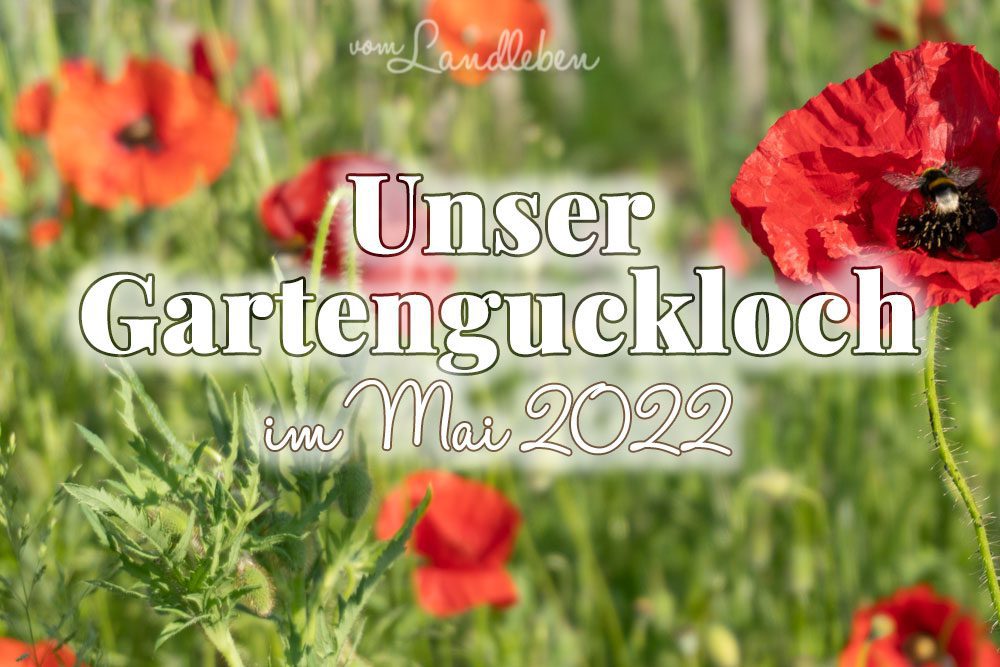 Gartenguckloch im Mai 2022