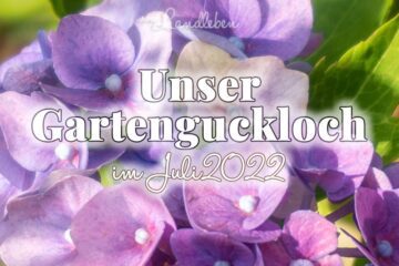 Gartenguckloch im Juli 2022