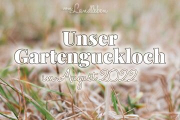 Gartenguckloch im August 2022