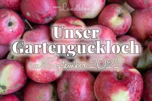 Gartenguckloch im September 2022