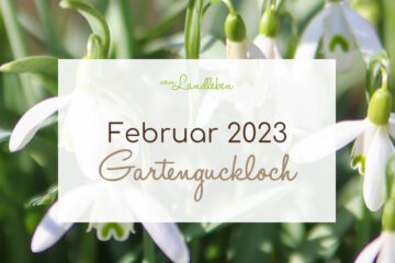 Gartenguckloch Februar 2023