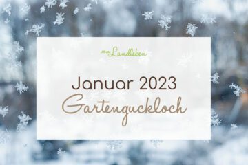Gartenguckloch im Januar 2023