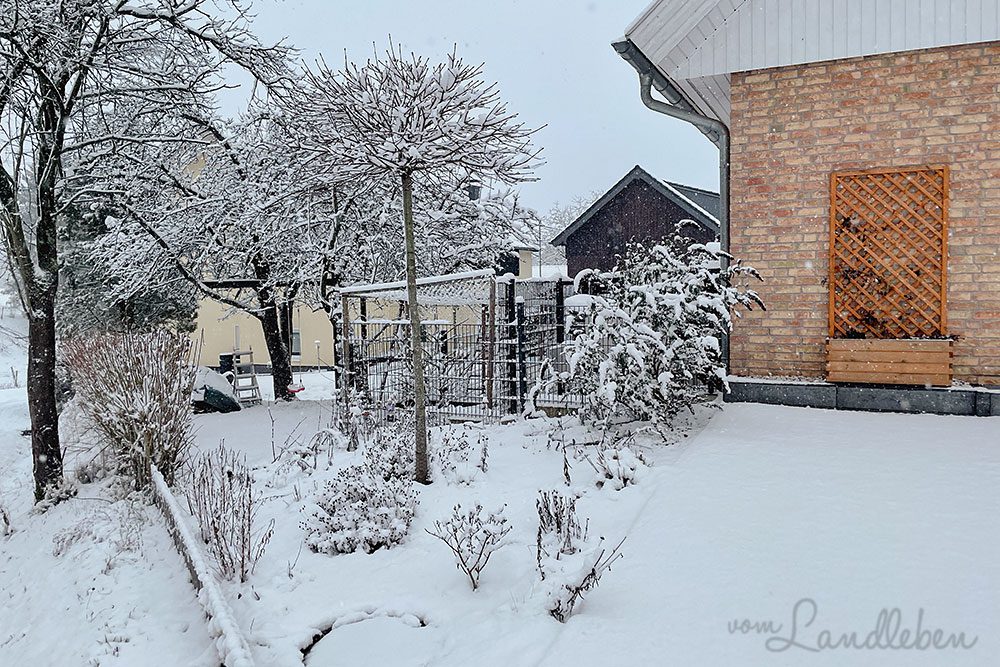 Schnee im Vorgarten - Januar 2023