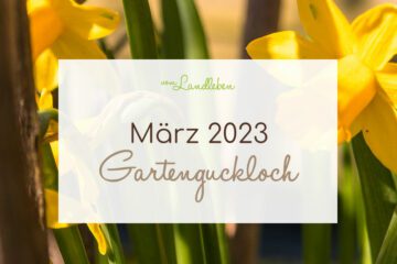 Gartenguckloch im März 2023
