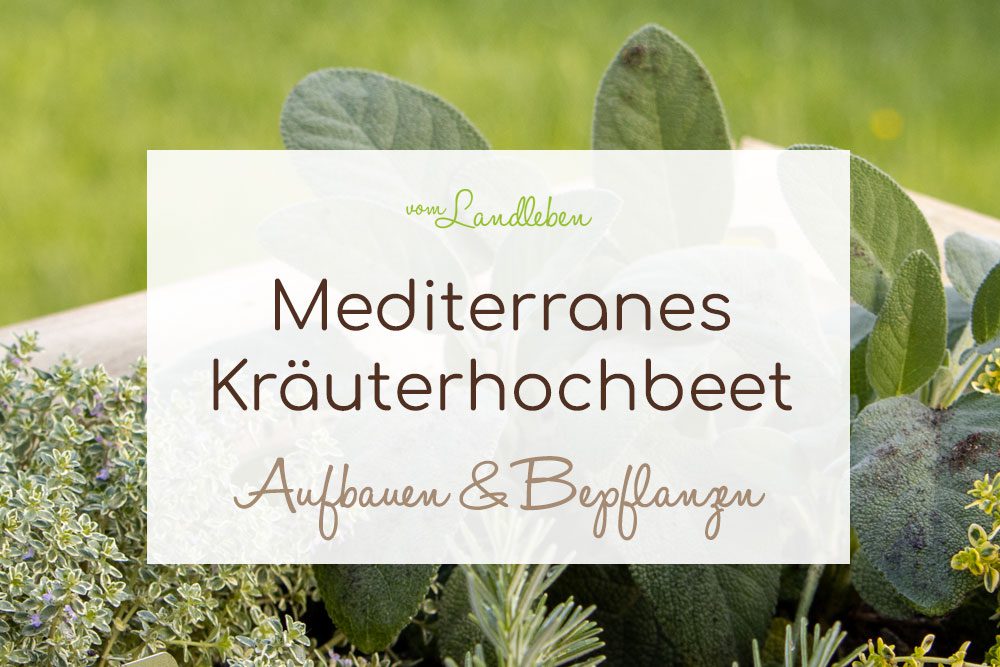 Mediterranes Kräuterhochbeet aufbauen und bepflanzen