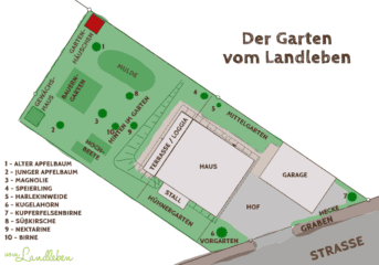 Der Garten vom Landleben