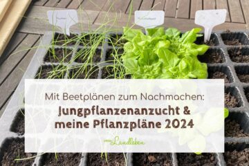 Jungpflanzenanzucht & Pflanzpläne 2024