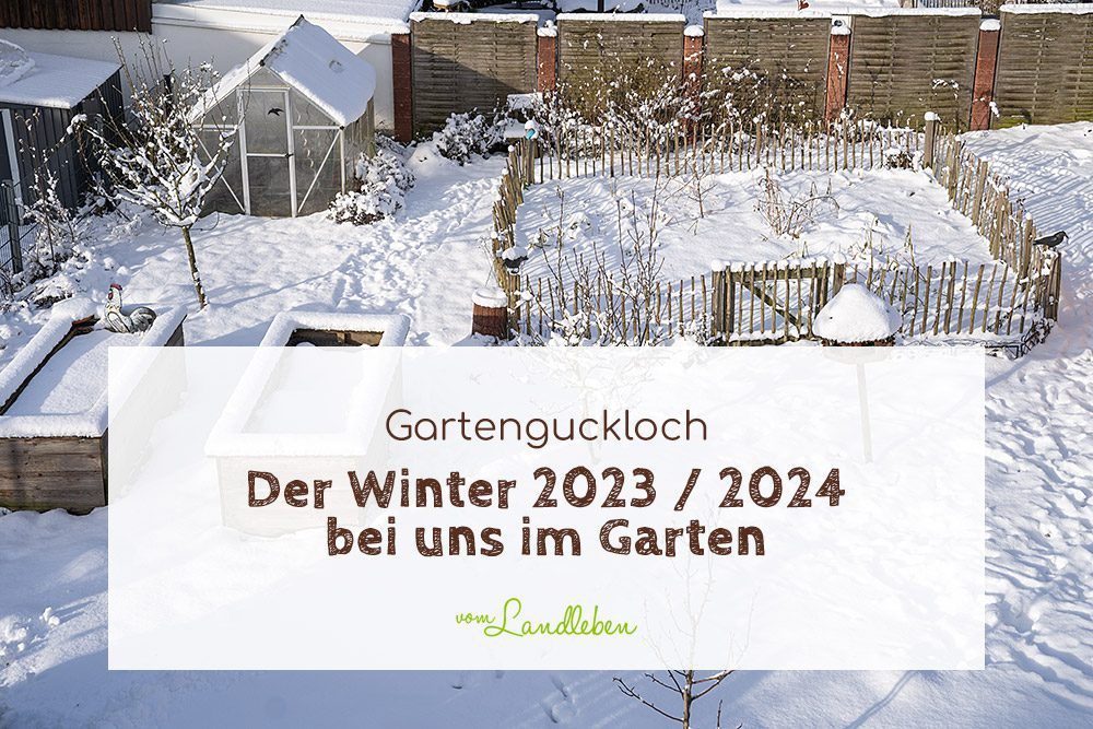 Der Winter 2023 / 2024 bei uns im Garten