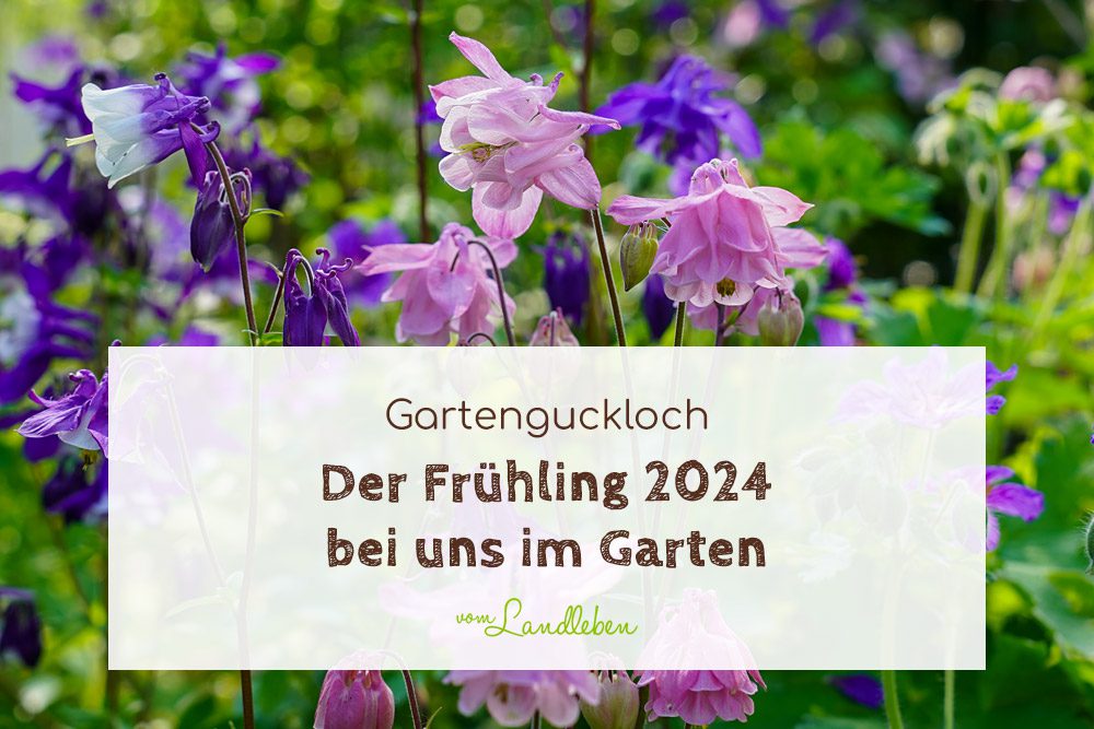 Frühling 2024 bei uns im Garten