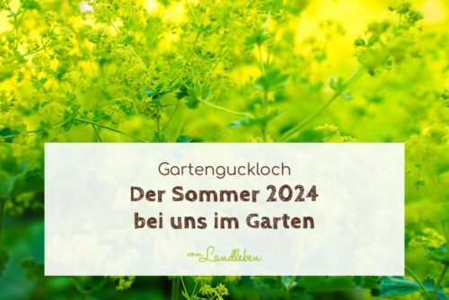 Sommer 2024 bei uns im Garten