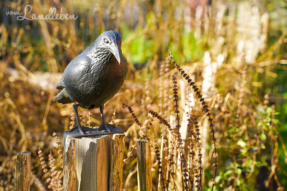 Unser Garten im Herbst