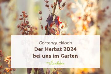 Der Herbst 2024 bei uns im Garten