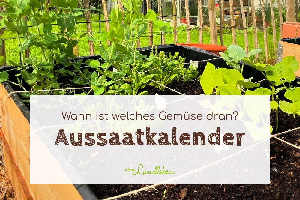 Aussaatkalender - wann welches Gemüse säen?