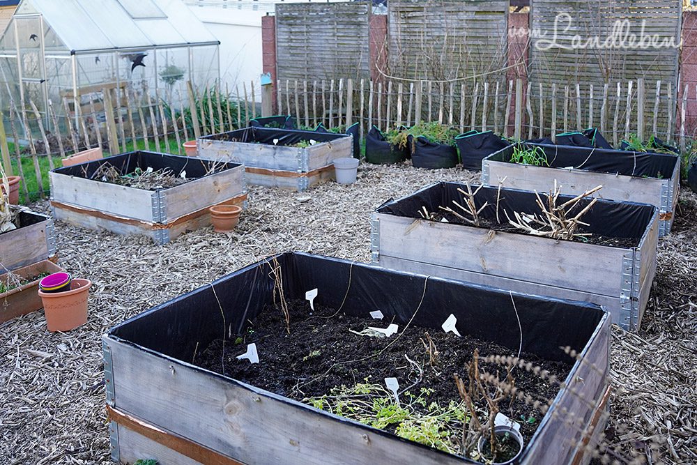 Bauerngarten nach dem Winter