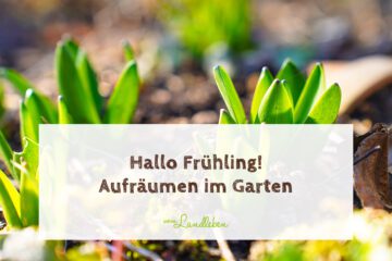 Hallo Frühling! Aufräumen im Garten