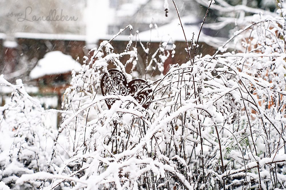 Schnee im Garten - Januar 2025