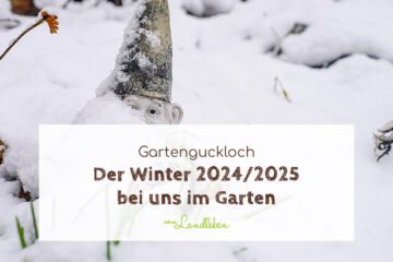 Der Winter 2024/2025 bei uns im Garten