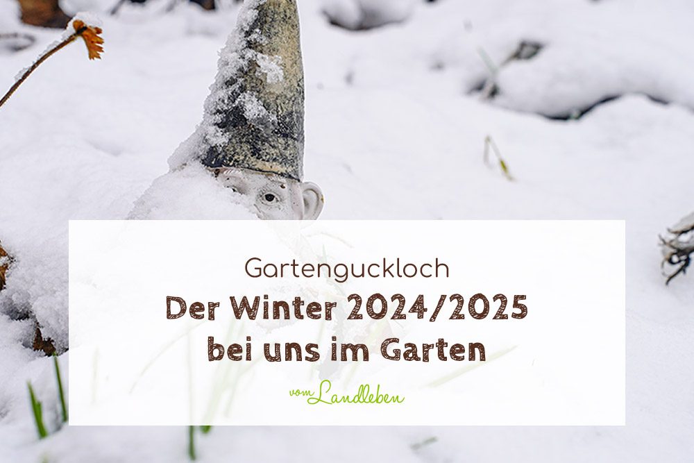 Der Winter 2024/2025 bei uns im Garten