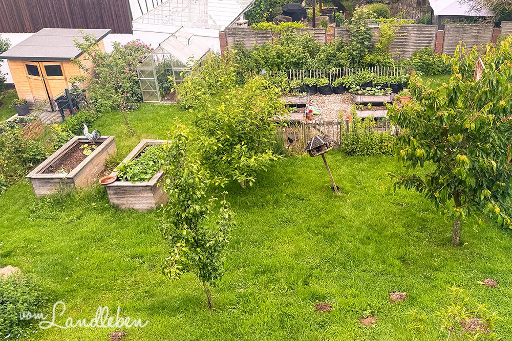 Garten Anfang Juni 2025