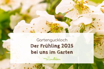 Der Frühling 2025 bei uns im Garten