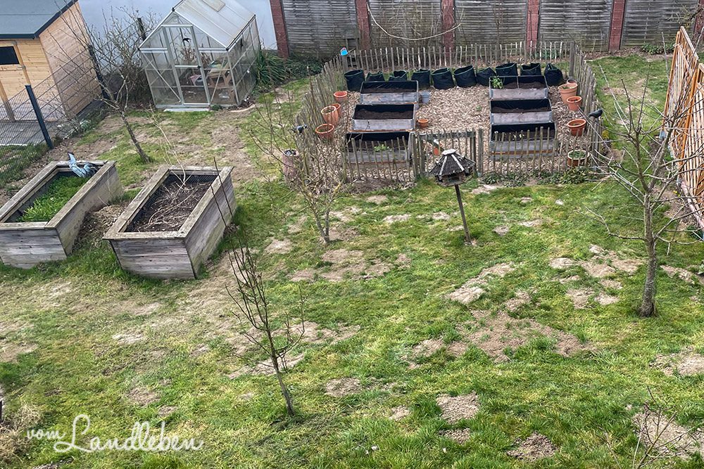 Garten Mitte März 2025